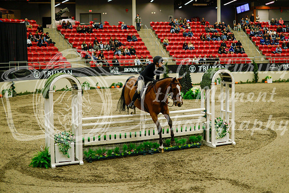 2025 - Haylee - Royal West - Saturday October 18th - 08729