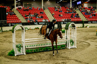 2025 - Haylee - Royal West - Saturday October 18th - 08730