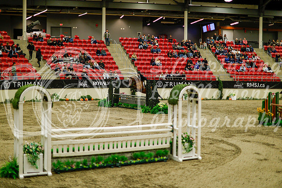 2025 - Haylee - Royal West - Saturday October 18th - 08731