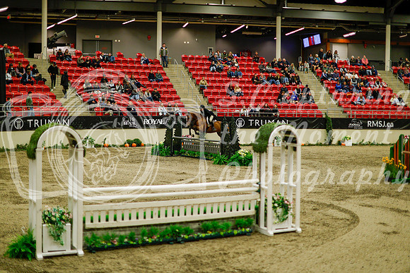 2025 - Haylee - Royal West - Saturday October 18th - 08732