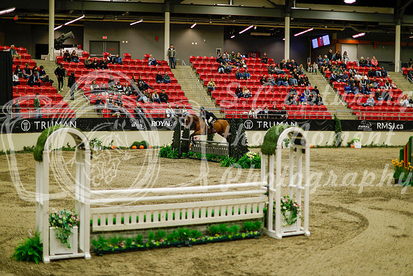 2025 - Haylee - Royal West - Saturday October 18th - 08733