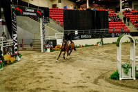 2025 - Haylee - Royal West - Saturday October 18th - 08734