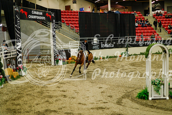 2025 - Haylee - Royal West - Saturday October 18th - 08734