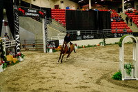 2025 - Haylee - Royal West - Saturday October 18th - 08735