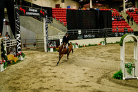 2025 - Haylee - Royal West - Saturday October 18th - 08736