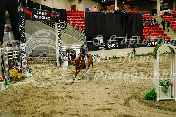 2025 - Haylee - Royal West - Saturday October 18th - 08736