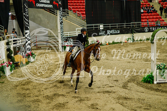 2025 - Haylee - Royal West - Saturday October 18th - 08737