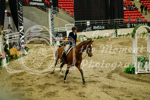 2025 - Haylee - Royal West - Saturday October 18th - 08738