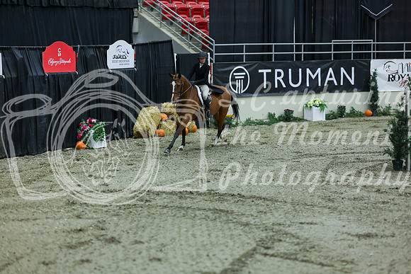 2025 - Shea - Royal West - Saturday October 18th - 06785