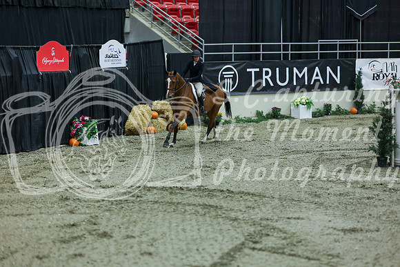 2025 - Shea - Royal West - Saturday October 18th - 06784