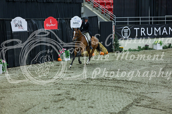 2025 - Shea - Royal West - Saturday October 18th - 06786