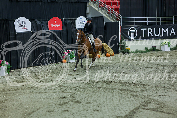 2025 - Shea - Royal West - Saturday October 18th - 06787