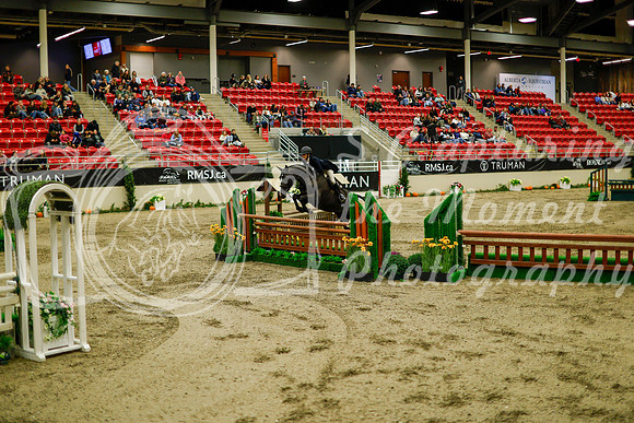 2025 - Haylee - Royal West - Saturday October 18th - 08741