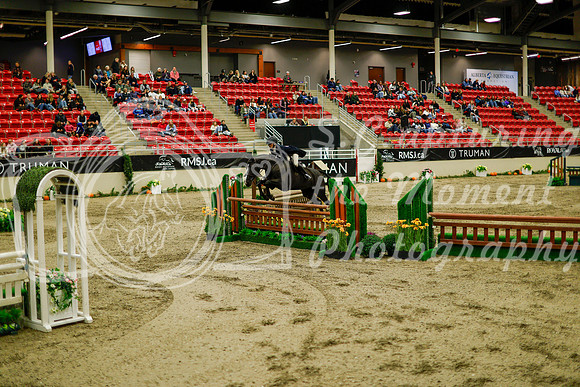 2025 - Haylee - Royal West - Saturday October 18th - 08742