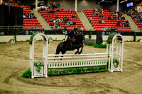 2025 - Haylee - Royal West - Saturday October 18th - 08744