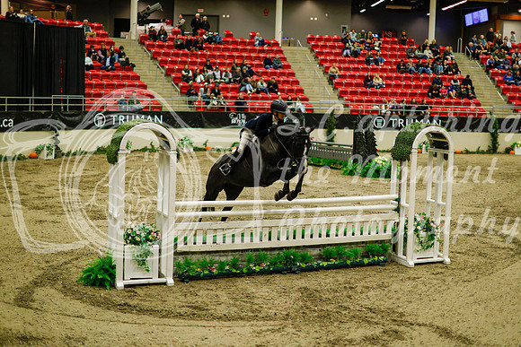 2025 - Haylee - Royal West - Saturday October 18th - 08744