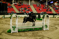2025 - Haylee - Royal West - Saturday October 18th - 08745