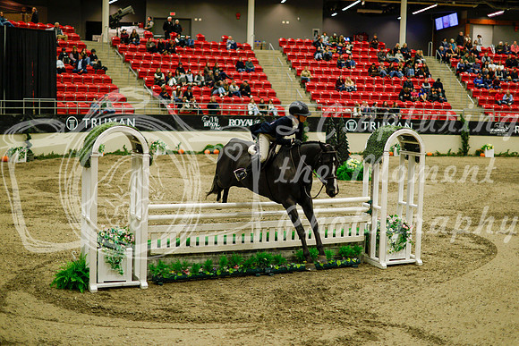 2025 - Haylee - Royal West - Saturday October 18th - 08746