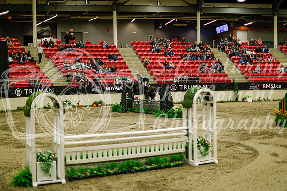 2025 - Haylee - Royal West - Saturday October 18th - 08747
