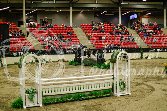 2025 - Haylee - Royal West - Saturday October 18th - 08748