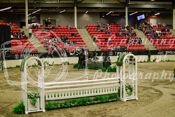 2025 - Haylee - Royal West - Saturday October 18th - 08749