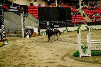 2025 - Haylee - Royal West - Saturday October 18th - 08750