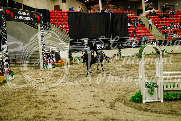 2025 - Haylee - Royal West - Saturday October 18th - 08750