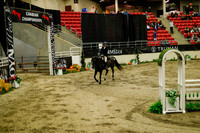 2025 - Haylee - Royal West - Saturday October 18th - 08751