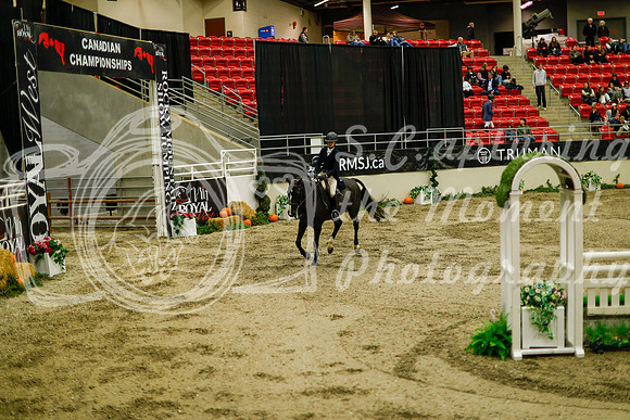 2025 - Haylee - Royal West - Saturday October 18th - 08751