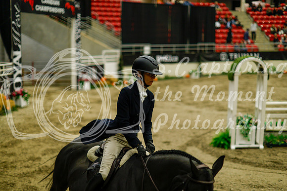 2025 - Haylee - Royal West - Saturday October 18th - 08754