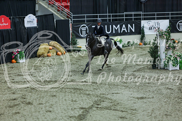 2025 - Shea - Royal West - Saturday October 18th - 06848