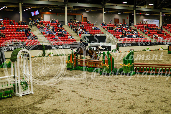 2025 - Haylee - Royal West - Saturday October 18th - 08595