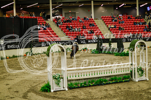 2025 - Haylee - Royal West - Saturday October 18th - 08598