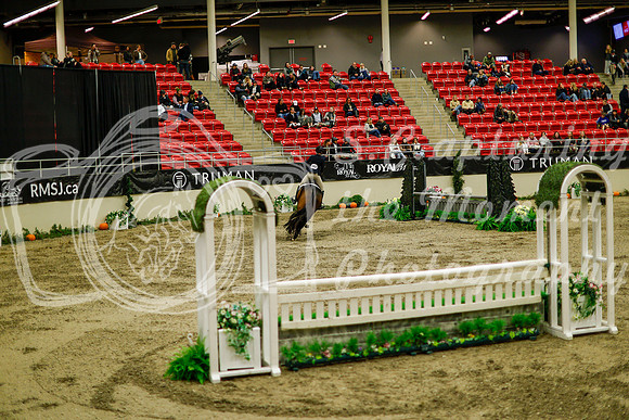 2025 - Haylee - Royal West - Saturday October 18th - 08599