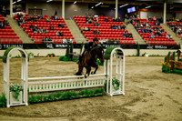 2025 - Haylee - Royal West - Saturday October 18th - 08601
