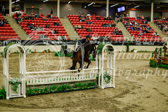 2025 - Haylee - Royal West - Saturday October 18th - 08601