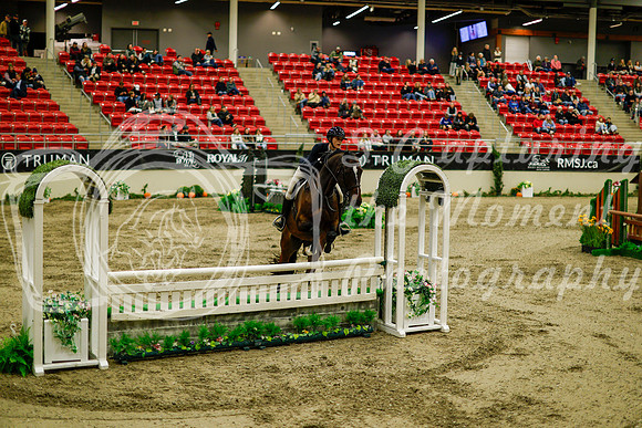2025 - Haylee - Royal West - Saturday October 18th - 08600