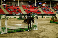 2025 - Haylee - Royal West - Saturday October 18th - 08603