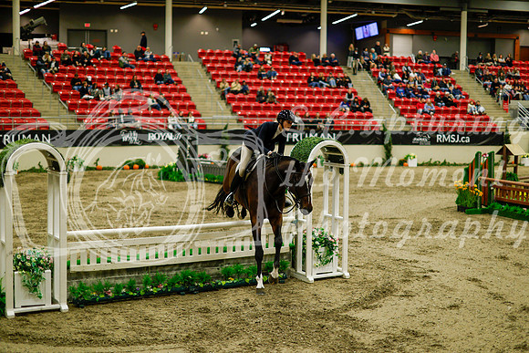 2025 - Haylee - Royal West - Saturday October 18th - 08603