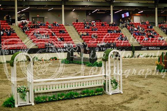 2025 - Haylee - Royal West - Saturday October 18th - 08604
