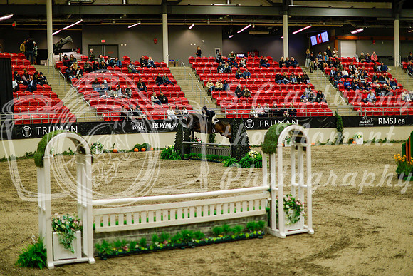 2025 - Haylee - Royal West - Saturday October 18th - 08605