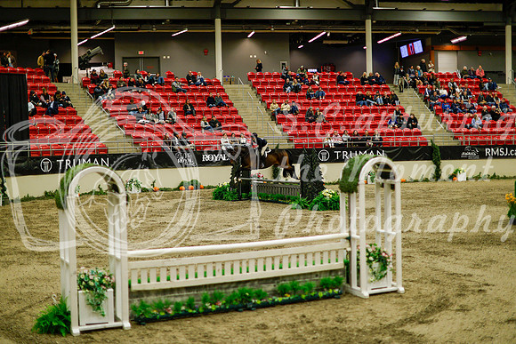 2025 - Haylee - Royal West - Saturday October 18th - 08606