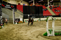 2025 - Haylee - Royal West - Saturday October 18th - 08608