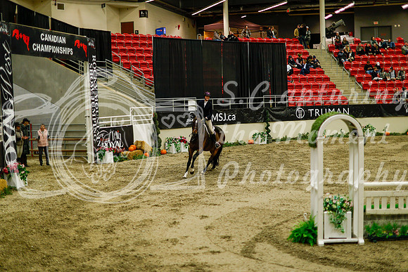 2025 - Haylee - Royal West - Saturday October 18th - 08608