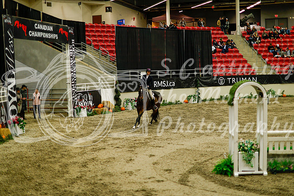 2025 - Haylee - Royal West - Saturday October 18th - 08609