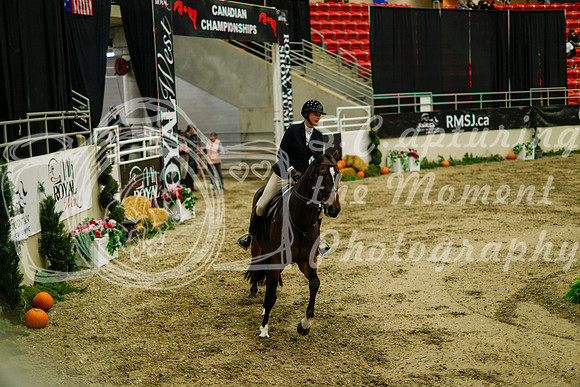 2025 - Haylee - Royal West - Saturday October 18th - 08611