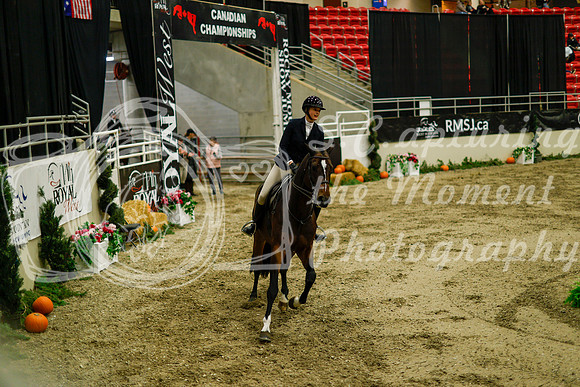2025 - Haylee - Royal West - Saturday October 18th - 08610