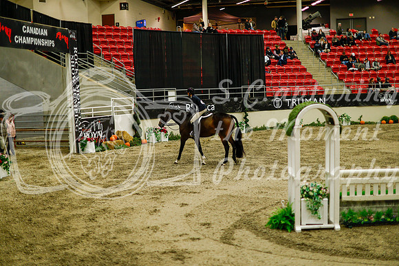 2025 - Haylee - Royal West - Saturday October 18th - 08612