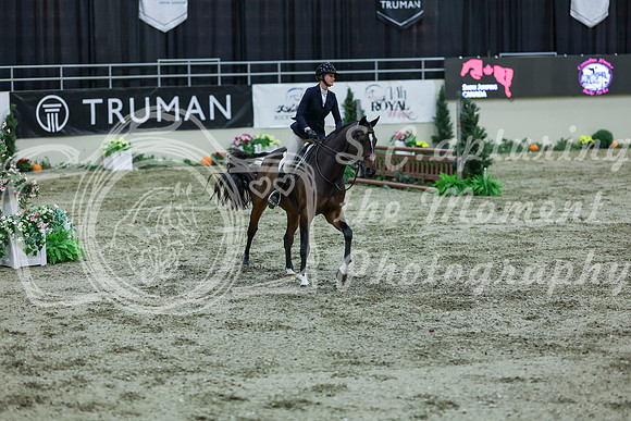 2025 - Shea - Royal West - Saturday October 18th - 06387