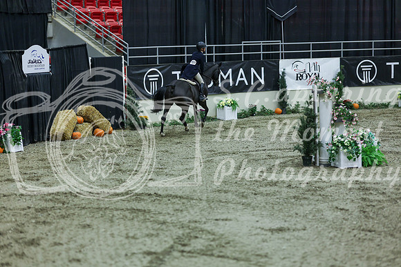 2025 - Shea - Royal West - Saturday October 18th - 06894